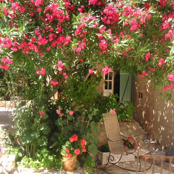 Arbre fleuri